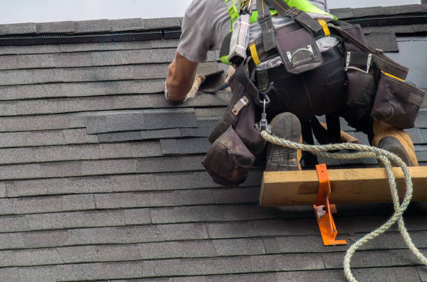 Best Roof Gutter Cleaning  in Fort Stewart, GA